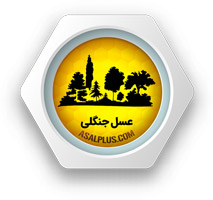 عسل جنگلی