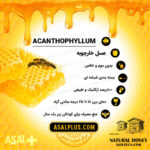 عسل خارچوبه - Image 3