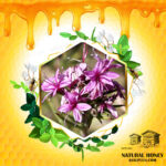 عسل خارچوبه - Image 5