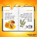 عسل گون گز - Image 8