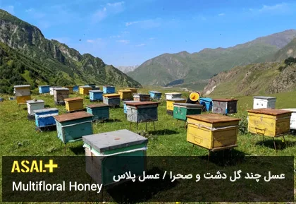 عسل چند گل دشت Multifloral Honey عسل پلاس 02