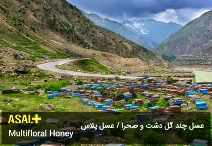 عسل چند گل دشت Multifloral Honey عسل پلاس 03