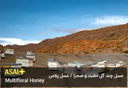 عسل چند گل دشت Multifloral Honey عسل پلاس 04