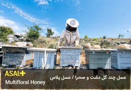 عسل چند گل دشت Multifloral Honey عسل پلاس 06