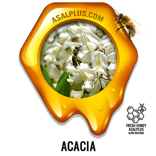 عسل-اقاقیا-acacia-honey-عسل-پلاس