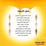 عسل خارچوبه - Image 5