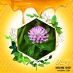 عسل یونجه - Image 2