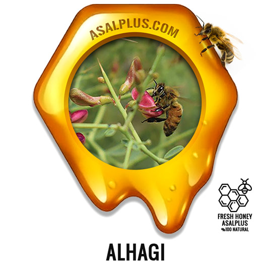 عسل-خارشتر-alhagi-honey-عسل-پلاس