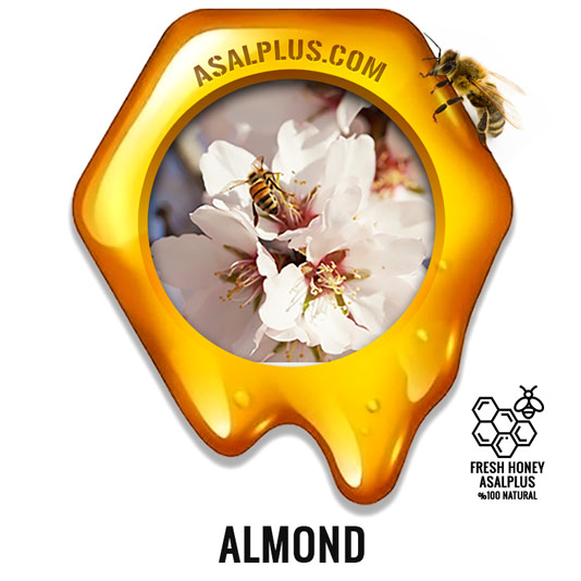 عسل-بادام-almond-honey-عسل-پلاس