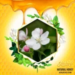 عسل شکوفه سیب - Image 2