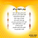 عسل شکوفه زردآلو - Image 5