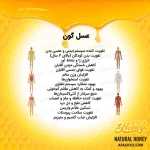 عسل گون - Image 5