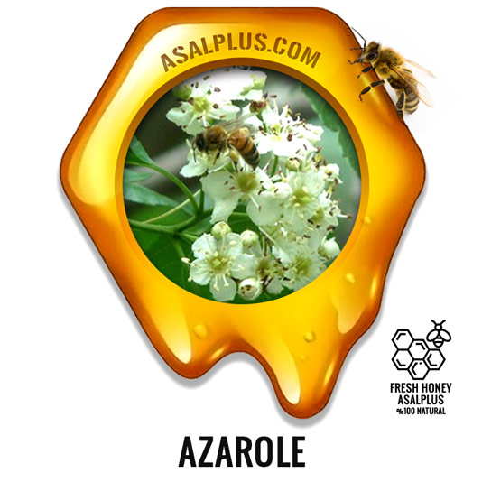 عسل-زالزالک-azarole-honey-عسل-پلاس