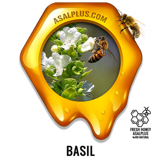 عسل-ریحان-basil-honey-عسل-پلاس