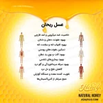 عسل ریحان - Image 5