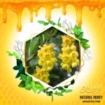 عسل زرشک - Image 2