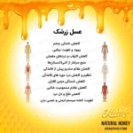 عسل زرشک - Image 5