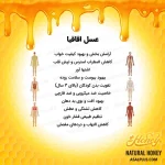 عسل اقاقیا - تصویر 5