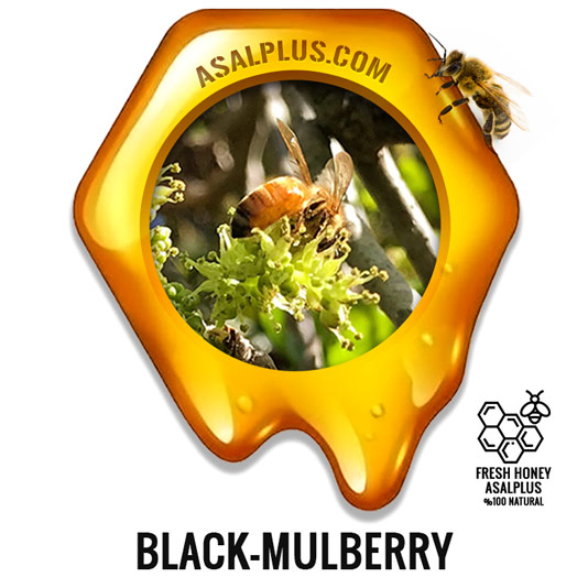 عسل-شاه-توت-black-mulberry-honey-عسل-پلاس