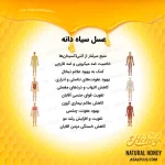 عسل سیاه دانه - Image 5