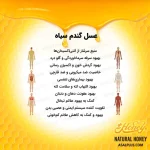 عسل گندم سیاه - Image 5