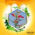 عسل خارشتر - Image 2