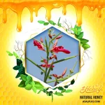 عسل خارشتر - تصویر 2