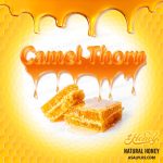 عسل خارشتر - Image 3