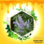 عسل پنج انگشت - تصویر 2