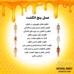 عسل پنج انگشت - تصویر 5