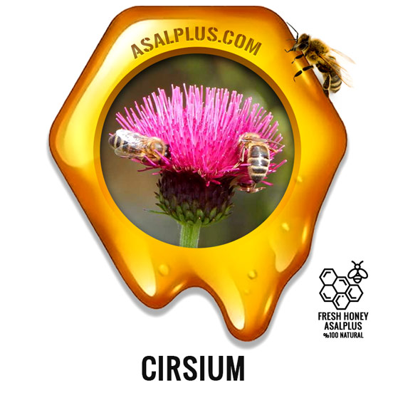 عسل-خارکیوار-cirsium-honey-عسل-پلاس