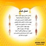 عسل شبدر - Image 5