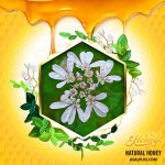 عسل گشنیز - Image 2