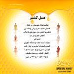 عسل گشنیز - Image 5