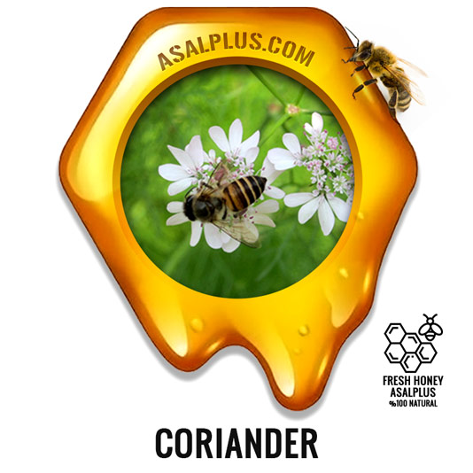 عسل-گشنیز-coriander-honey-عسل-پلاس