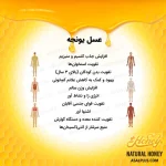 عسل هزارخار - Image 5