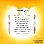 عسل قاصدک - Image 5