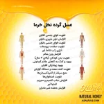 عسل نخل خرما - Image 5