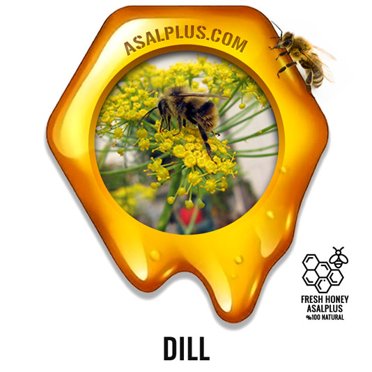 عسل-شوید-dill-honey-عسل-پلاس