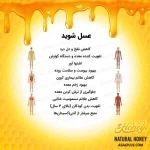 عسل شوید - Image 5