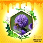 عسل قنقال - تصویر 2