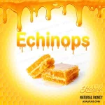 عسل قنقال - تصویر 3