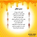 عسل قنقال - تصویر 5