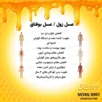 عسل زول / عسل بوقناق - Image 5