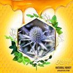 عسل زول / عسل بوقناق - Image 2