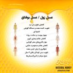 عسل زول / عسل بوقناق - Image 5