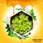 عسل فرفیون / عسل خوشیل - Image 2