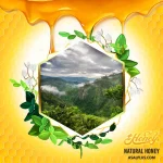 عسل جنگلی - Image 2