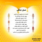 عسل جنگلی - Image 5