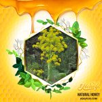 عسل باریجه - Image 2